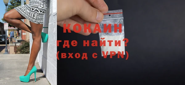 шишки Арсеньев