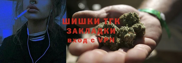 ешки Аркадак