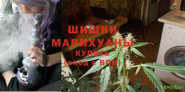 ешки Аркадак