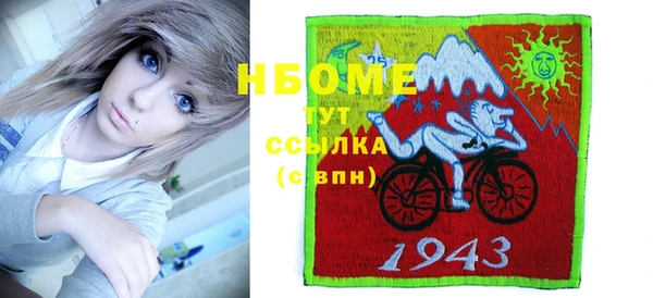 шишки Арсеньев