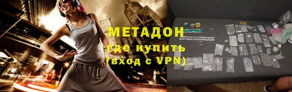 шишки Арсеньев