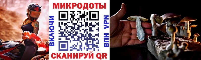 Псилоцибиновые грибы Cubensis  Купить закладки  Ужур 